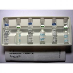 buy Pregnyl 1500 Injection